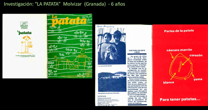 Investigación del medio - BT la Patata