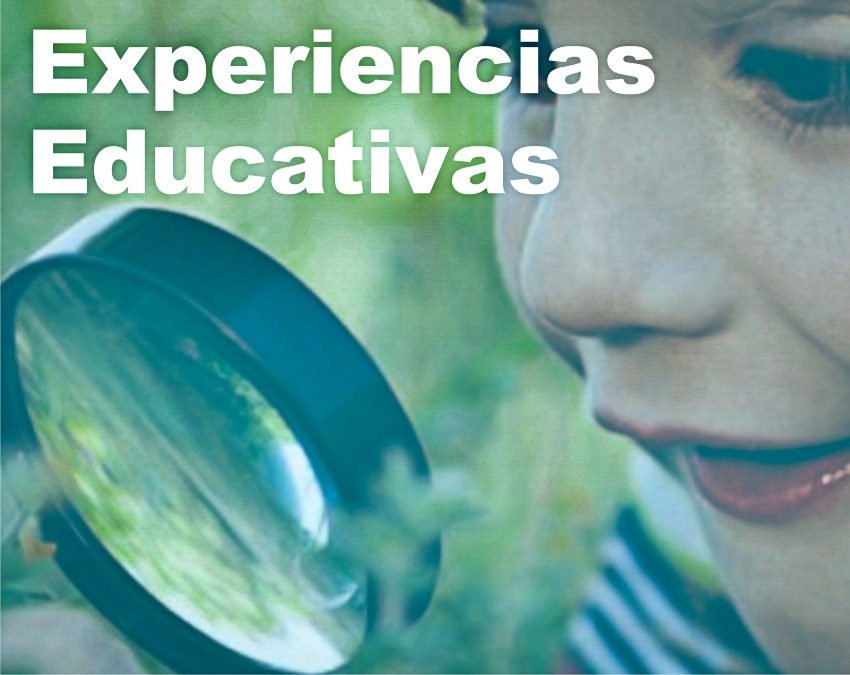 Experiencias educativas